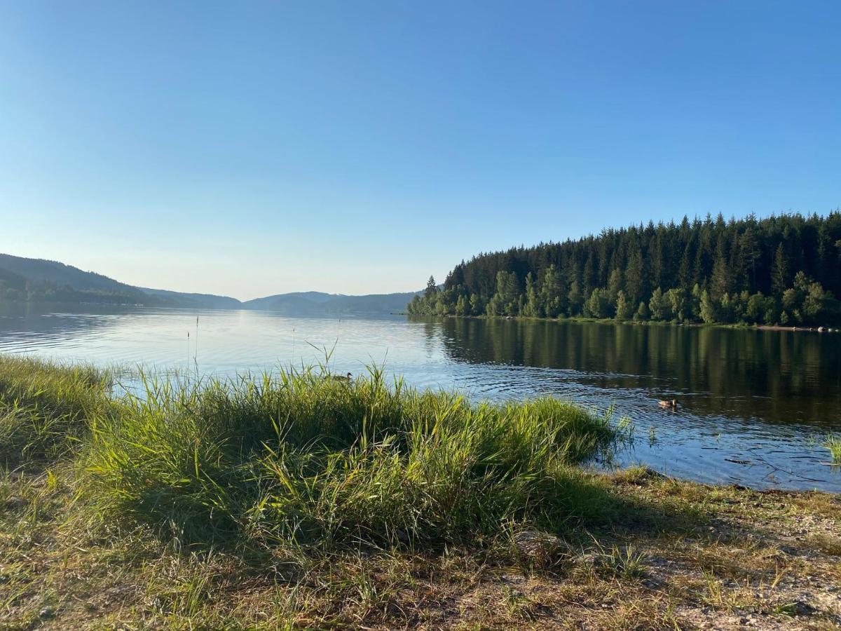 Sporthostel Roessle Schluchsee Kültér fotó