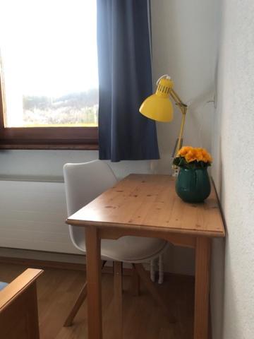 Sporthostel Roessle Schluchsee Kültér fotó