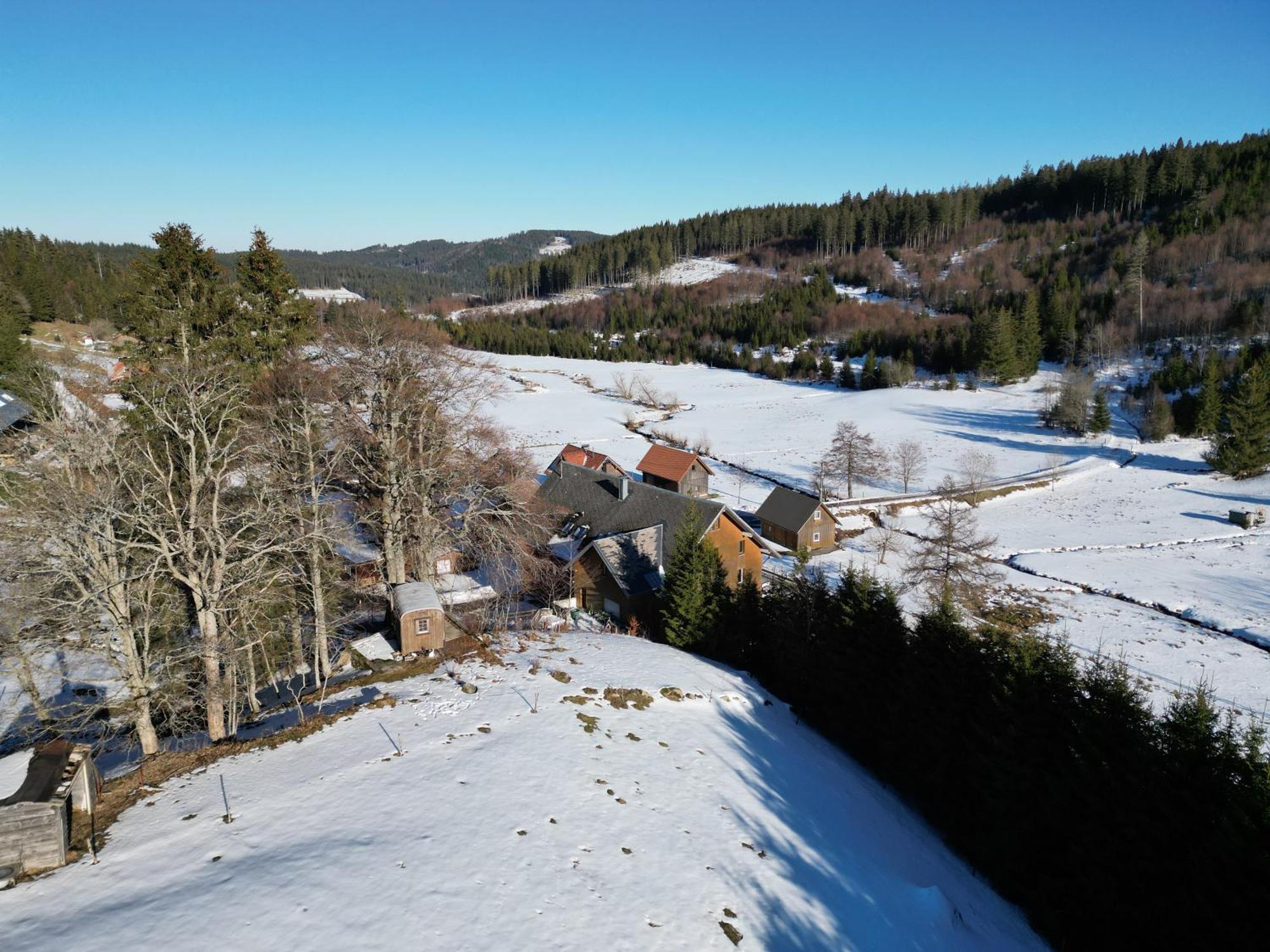 Sporthostel Roessle Schluchsee Kültér fotó